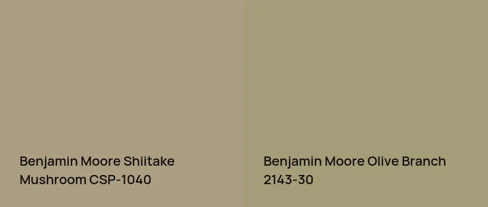 Benjamin Moore Shiitake Mushroom CSP-1040 vs Benjamin Moore Olive Branch 2143-30