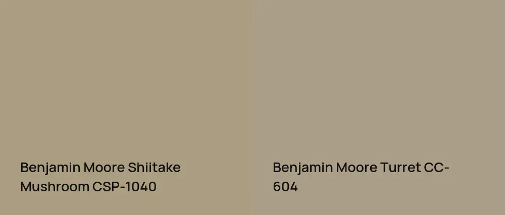 Benjamin Moore Shiitake Mushroom CSP-1040 vs Benjamin Moore Turret CC-604
