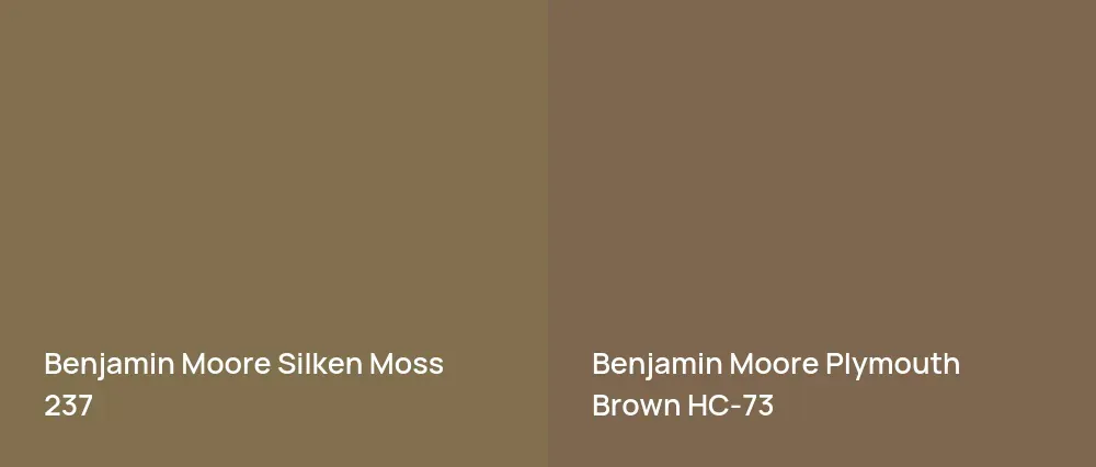 Benjamin Moore Silken Moss 237 vs Benjamin Moore Plymouth Brown HC-73