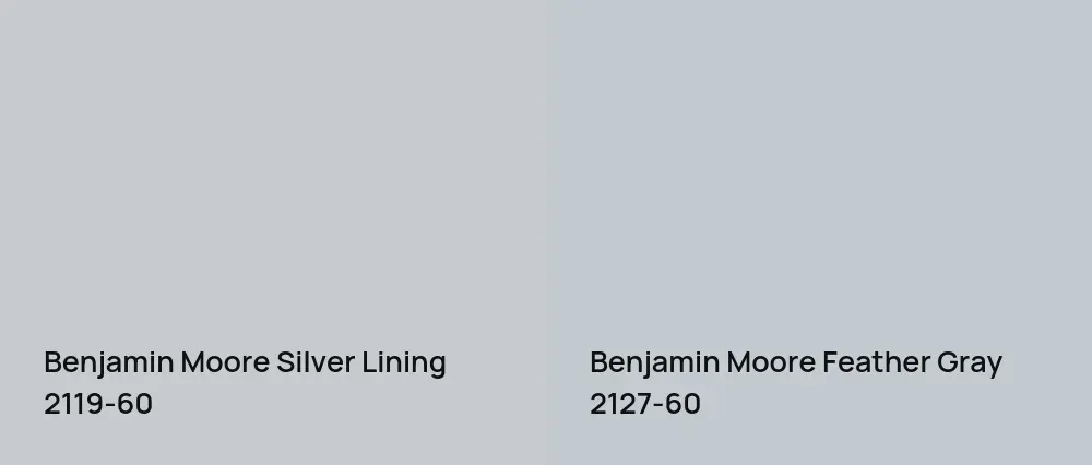 Benjamin Moore Silver Lining 2119-60 vs Benjamin Moore Feather Gray 2127-60