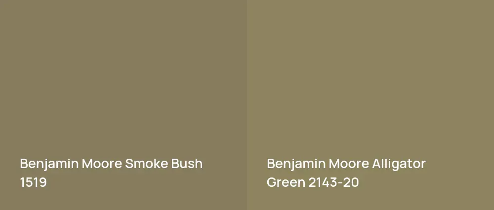 Benjamin Moore Smoke Bush 1519 vs Benjamin Moore Alligator Green 2143-20