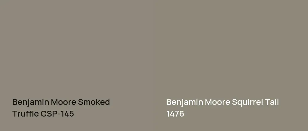 Benjamin Moore Smoked Truffle CSP-145 vs Benjamin Moore Squirrel Tail 1476
