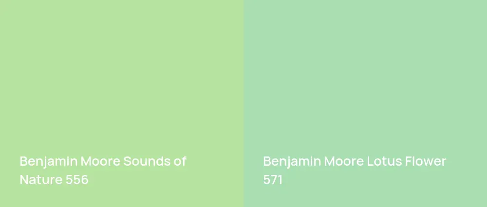 Benjamin Moore Sounds of Nature 556 vs Benjamin Moore Lotus Flower 571
