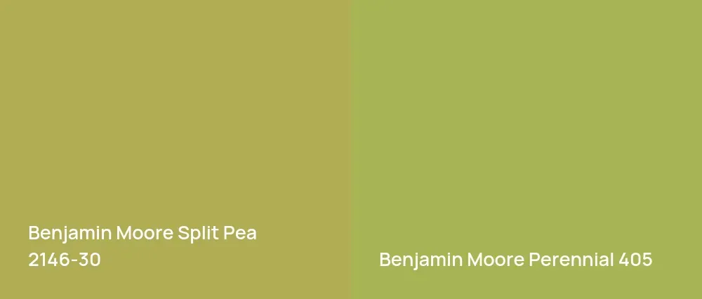 Benjamin Moore Split Pea 2146-30 vs Benjamin Moore Perennial 405