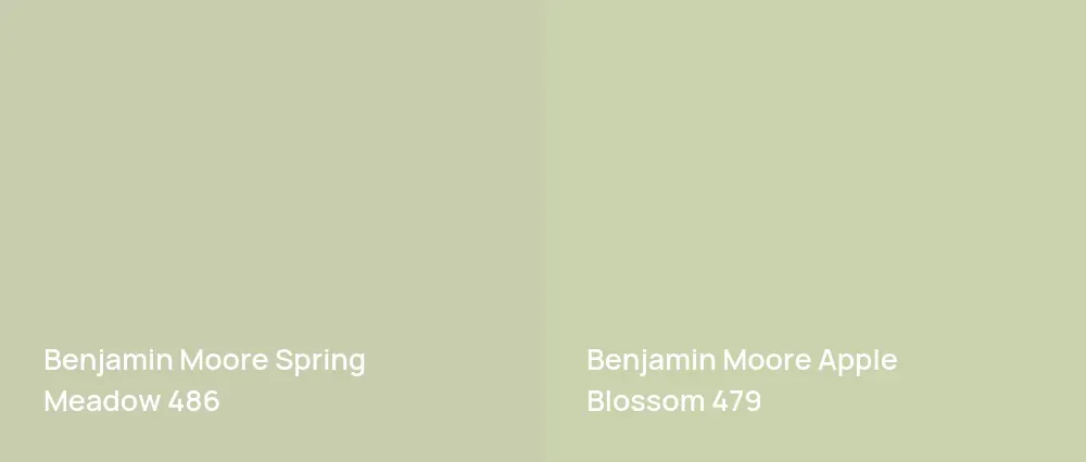 Benjamin Moore Spring Meadow 486 vs Benjamin Moore Apple Blossom 479
