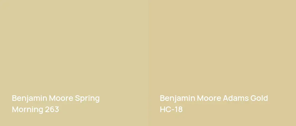 Benjamin Moore Spring Morning 263 vs Benjamin Moore Adams Gold HC-18