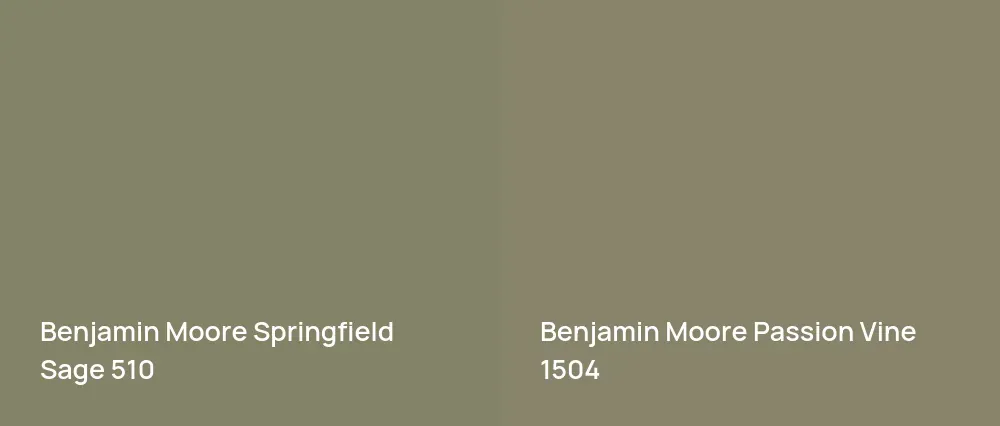 Benjamin Moore Springfield Sage 510 vs Benjamin Moore Passion Vine 1504