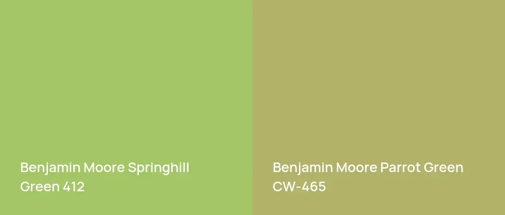 Benjamin Moore Springhill Green 412 vs Benjamin Moore Parrot Green CW-465
