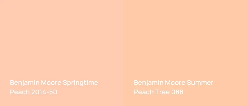 Benjamin Moore Springtime Peach 2014-50 vs Benjamin Moore Summer Peach Tree 088