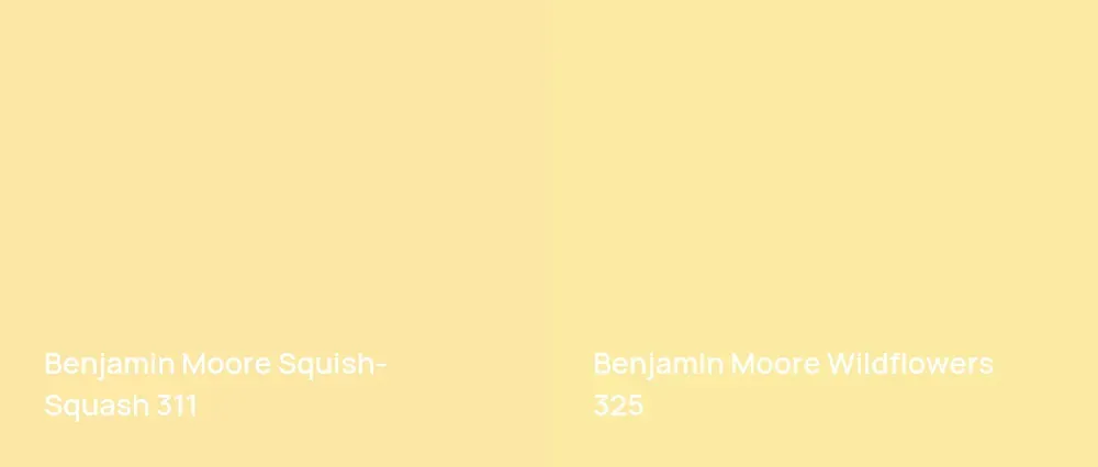 Benjamin Moore Squish-Squash 311 vs Benjamin Moore Wildflowers 325