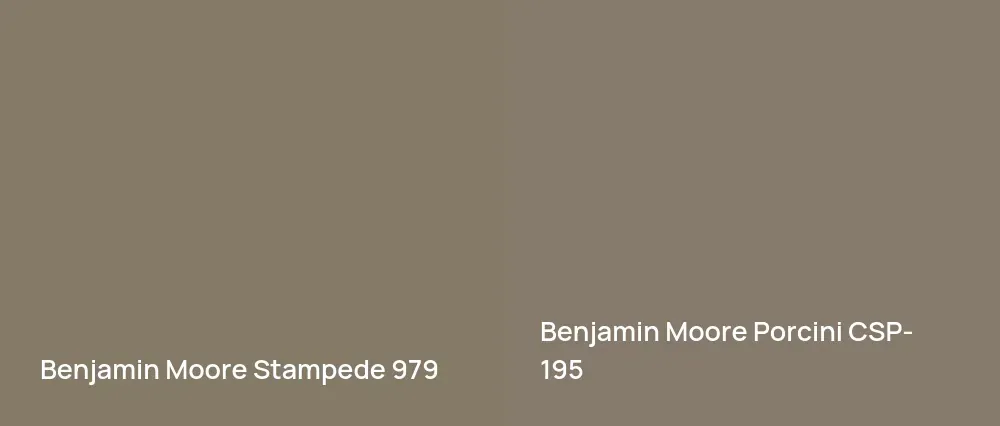 Benjamin Moore Stampede 979 vs Benjamin Moore Porcini CSP-195