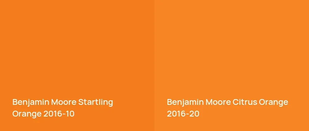 Benjamin Moore Startling Orange 2016-10 vs Benjamin Moore Citrus Orange 2016-20