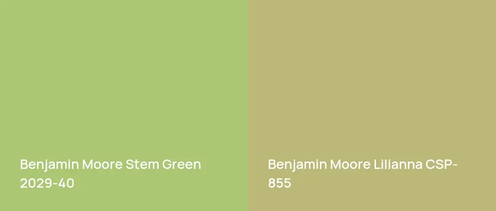 Benjamin Moore Stem Green 2029-40 vs Benjamin Moore Lilianna CSP-855