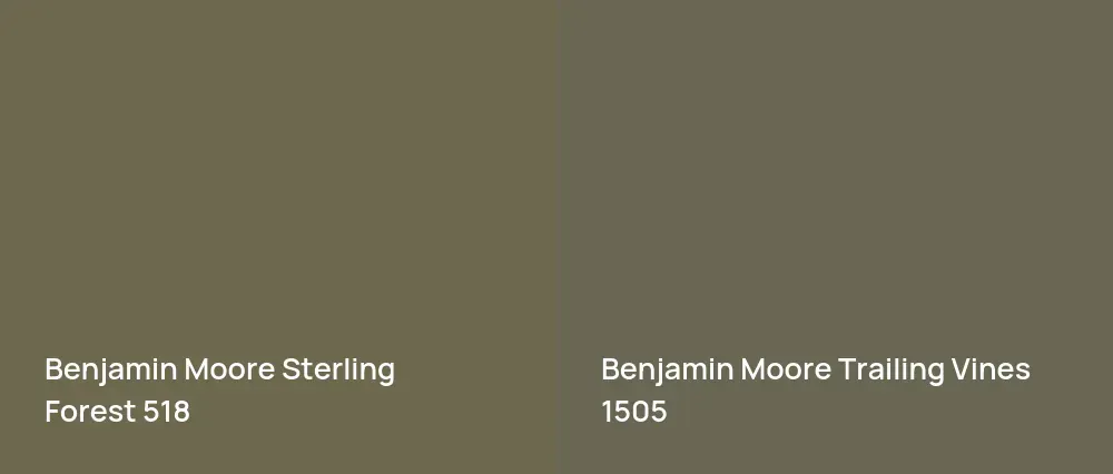 Benjamin Moore Sterling Forest 518 vs Benjamin Moore Trailing Vines 1505