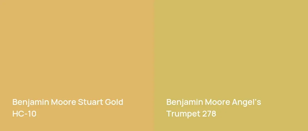Benjamin Moore Stuart Gold HC-10 vs Benjamin Moore Angel's Trumpet 278