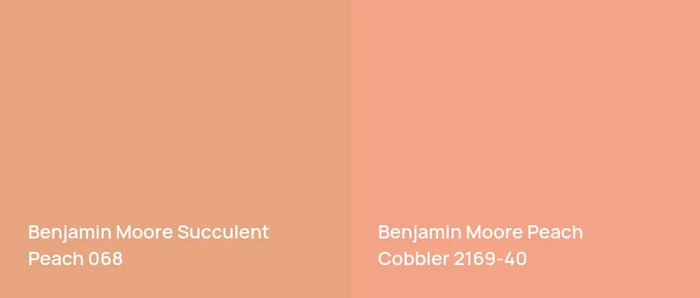 Benjamin Moore Succulent Peach 068 vs Benjamin Moore Peach Cobbler 2169-40