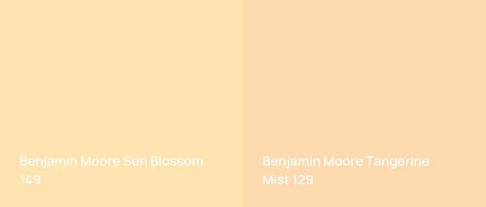 Benjamin Moore Sun Blossom 149 vs Benjamin Moore Tangerine Mist 129