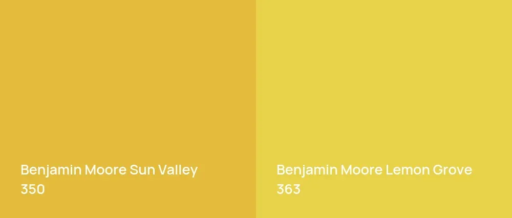 Benjamin Moore Sun Valley 350 vs Benjamin Moore Lemon Grove 363