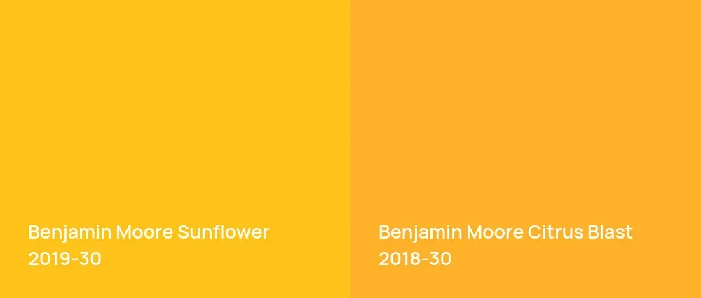 Benjamin Moore Sunflower 2019-30 vs Benjamin Moore Citrus Blast 2018-30