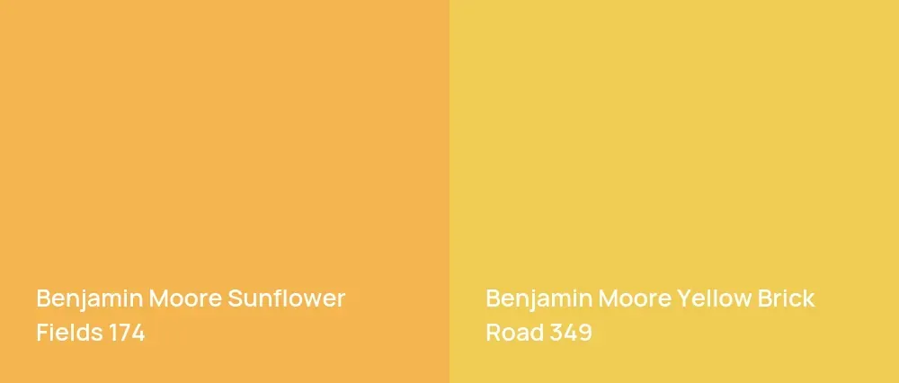 Benjamin Moore Sunflower Fields 174 vs Benjamin Moore Yellow Brick Road 349