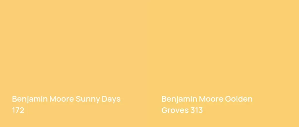 Benjamin Moore Sunny Days 172 vs Benjamin Moore Golden Groves 313