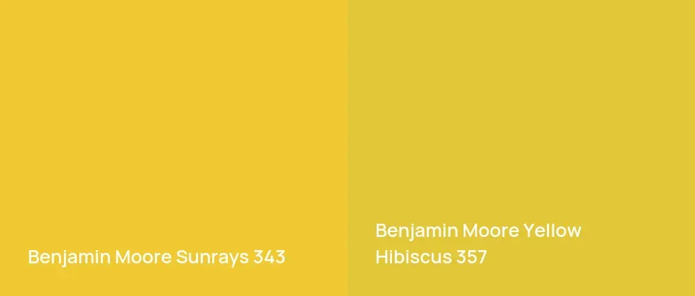 Benjamin Moore Sunrays 343 vs Benjamin Moore Yellow Hibiscus 357
