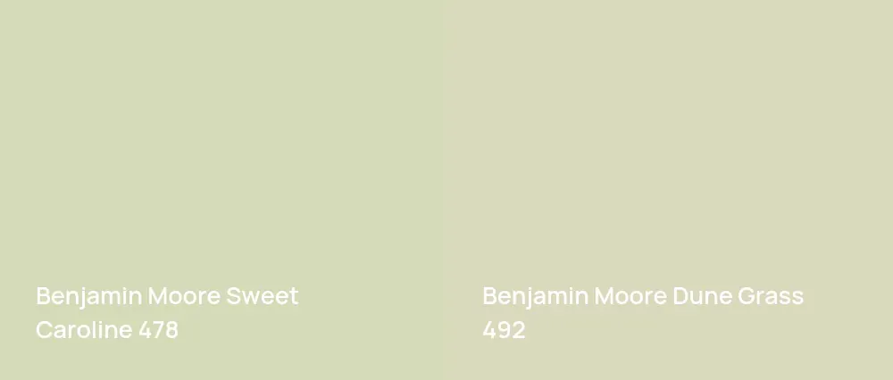 Benjamin Moore Sweet Caroline 478 vs Benjamin Moore Dune Grass 492