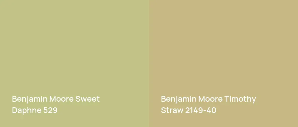 Benjamin Moore Sweet Daphne 529 vs Benjamin Moore Timothy Straw 2149-40