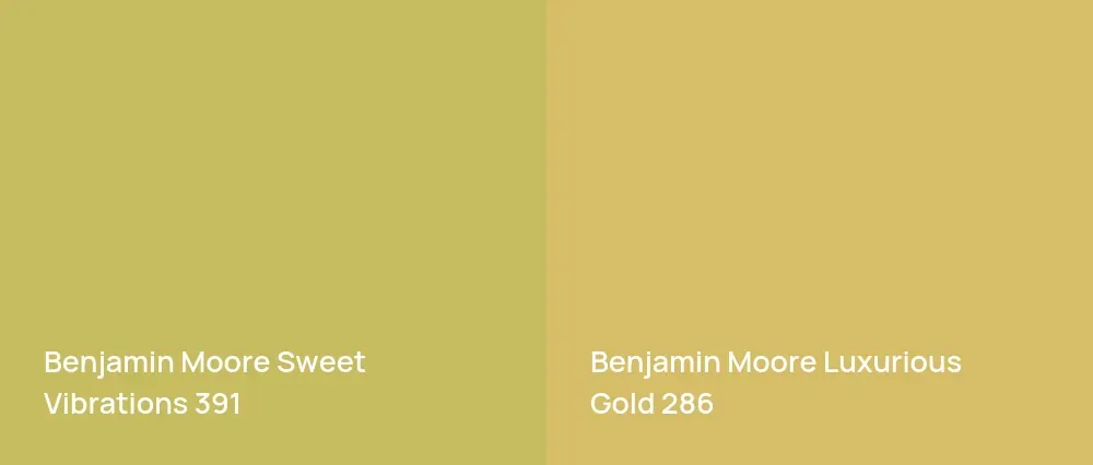 Benjamin Moore Sweet Vibrations 391 vs Benjamin Moore Luxurious Gold 286