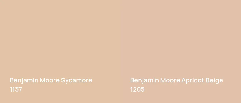 Benjamin Moore Sycamore 1137 vs Benjamin Moore Apricot Beige 1205