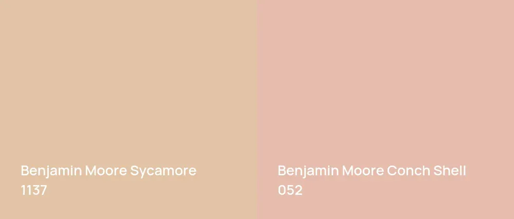 Benjamin Moore Sycamore 1137 vs Benjamin Moore Conch Shell 052