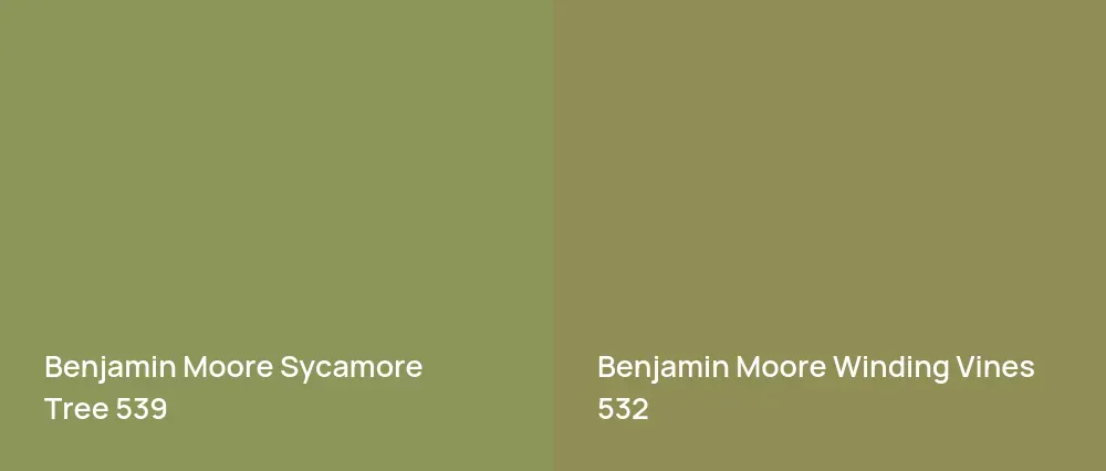 Benjamin Moore Sycamore Tree 539 vs Benjamin Moore Winding Vines 532