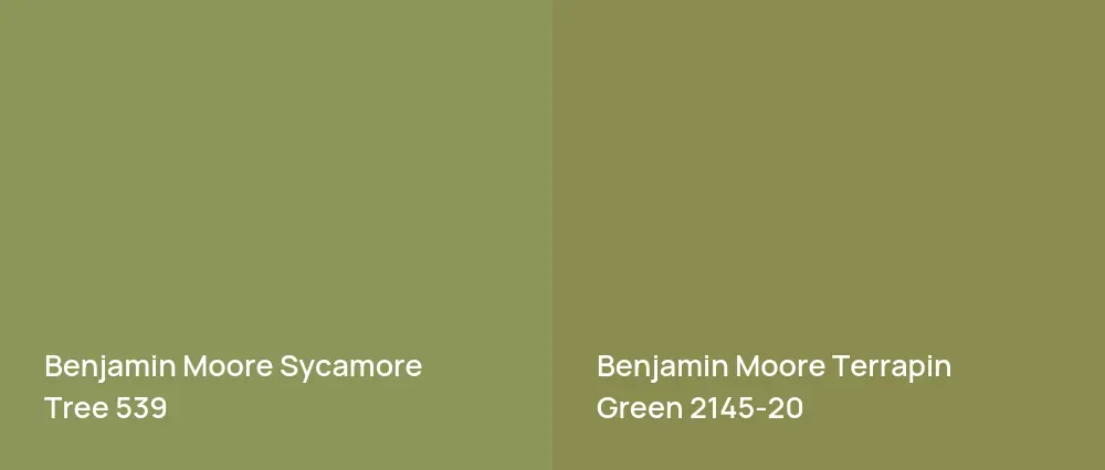 Benjamin Moore Sycamore Tree 539 vs Benjamin Moore Terrapin Green 2145-20