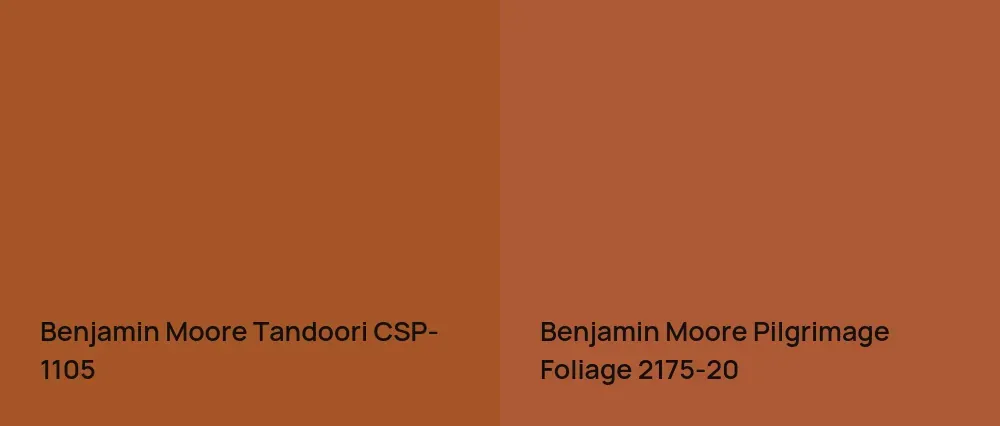 Benjamin Moore Tandoori CSP-1105 vs Benjamin Moore Pilgrimage Foliage 2175-20