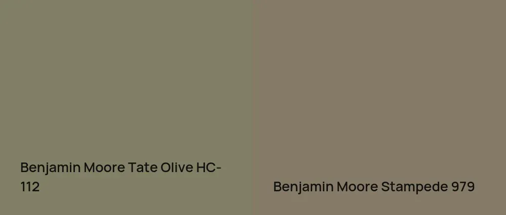 Benjamin Moore Tate Olive HC-112 vs Benjamin Moore Stampede 979