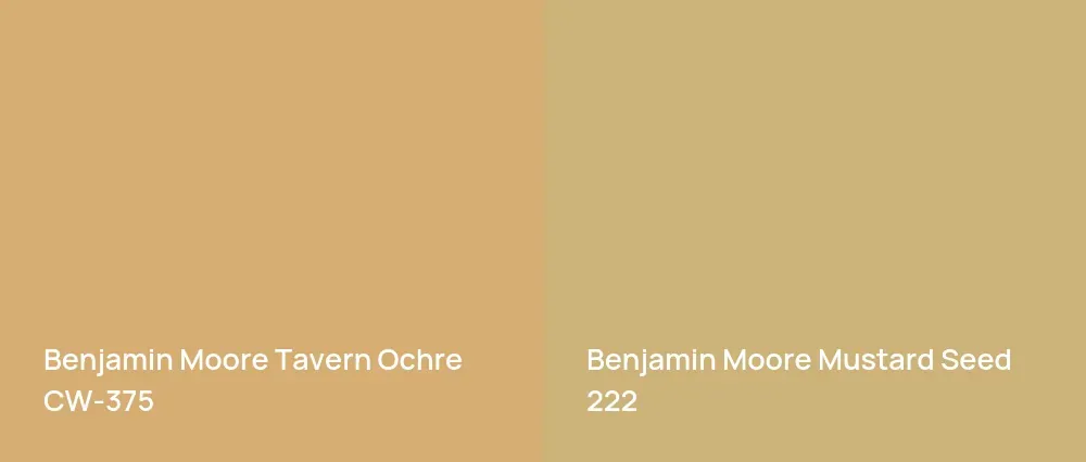 Benjamin Moore Tavern Ochre CW-375 vs Benjamin Moore Mustard Seed 222