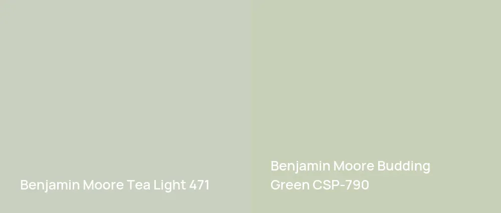 Benjamin Moore Tea Light 471 vs Benjamin Moore Budding Green CSP-790