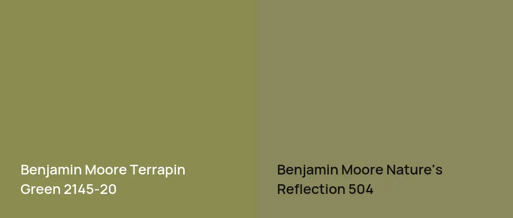 Benjamin Moore Terrapin Green 2145-20 vs Benjamin Moore Nature's Reflection 504