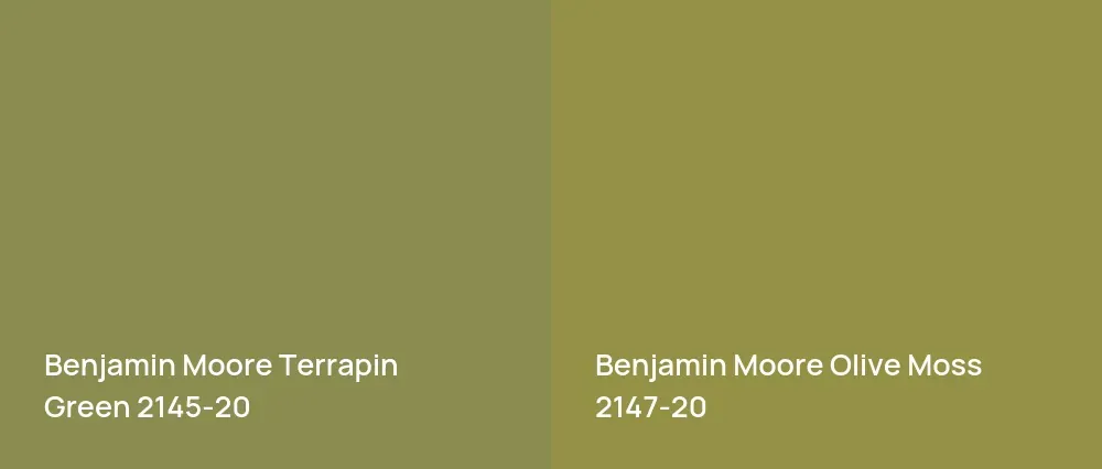 Benjamin Moore Terrapin Green 2145-20 vs Benjamin Moore Olive Moss 2147-20