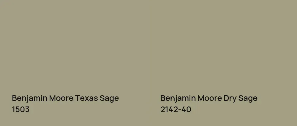 Benjamin Moore Texas Sage 1503 vs Benjamin Moore Dry Sage 2142-40