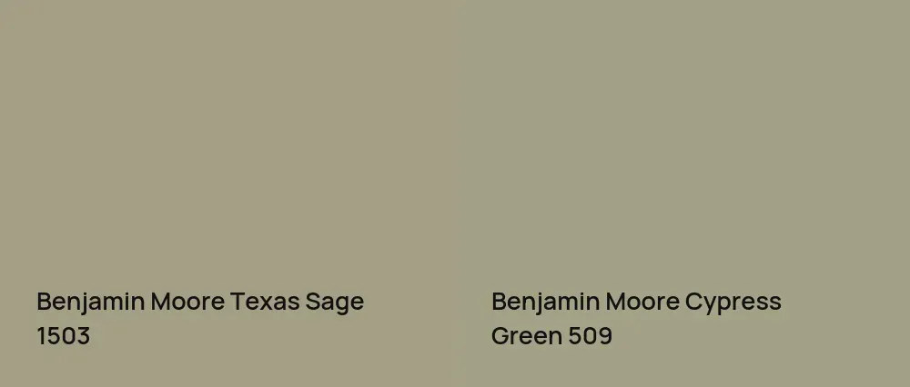 Benjamin Moore Texas Sage 1503 vs Benjamin Moore Cypress Green 509