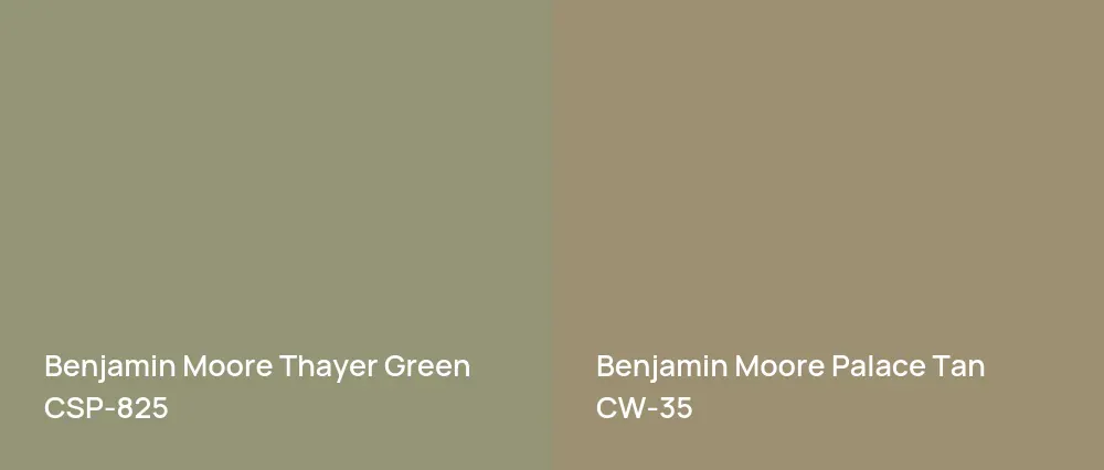 Benjamin Moore Thayer Green CSP-825 vs Benjamin Moore Palace Tan CW-35
