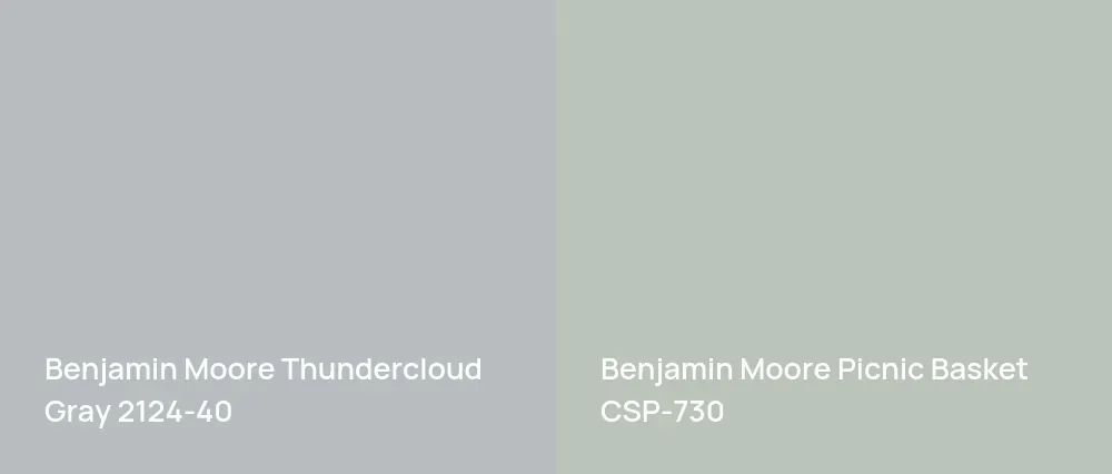 Benjamin Moore Thundercloud Gray 2124-40 vs Benjamin Moore Picnic Basket CSP-730
