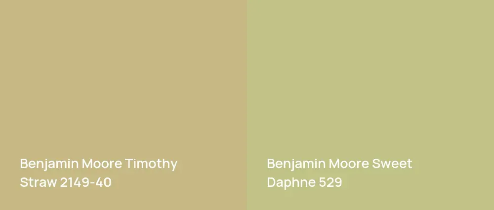 Benjamin Moore Timothy Straw 2149-40 vs Benjamin Moore Sweet Daphne 529