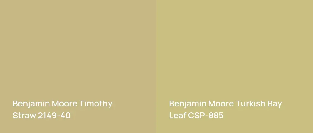 Benjamin Moore Timothy Straw 2149-40 vs Benjamin Moore Turkish Bay Leaf CSP-885