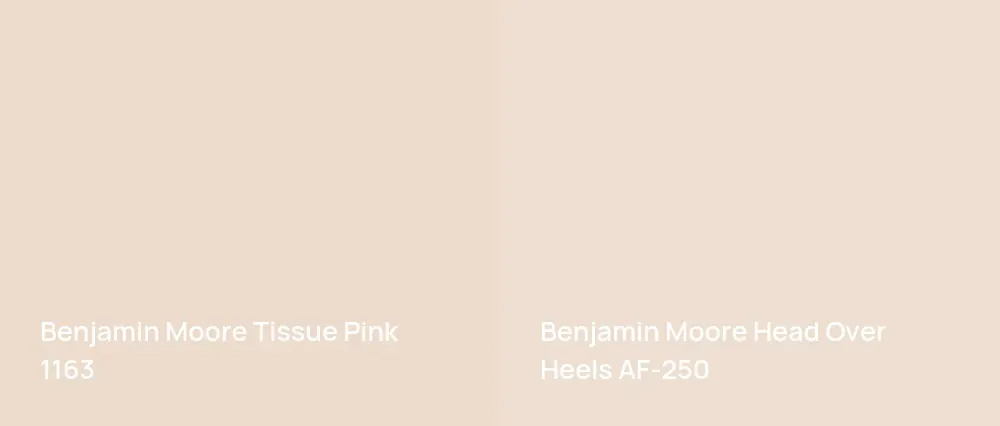 Benjamin Moore Tissue Pink 1163 vs Benjamin Moore Head Over Heels AF-250