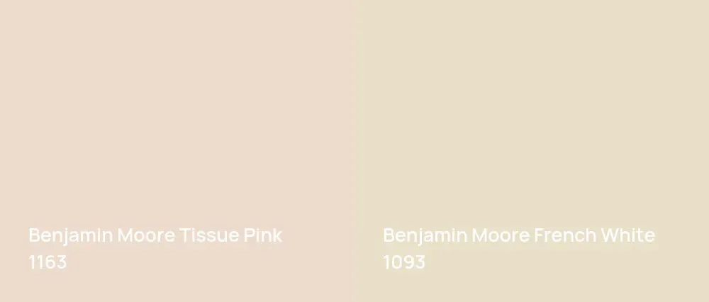 Benjamin Moore Tissue Pink 1163 vs Benjamin Moore French White 1093