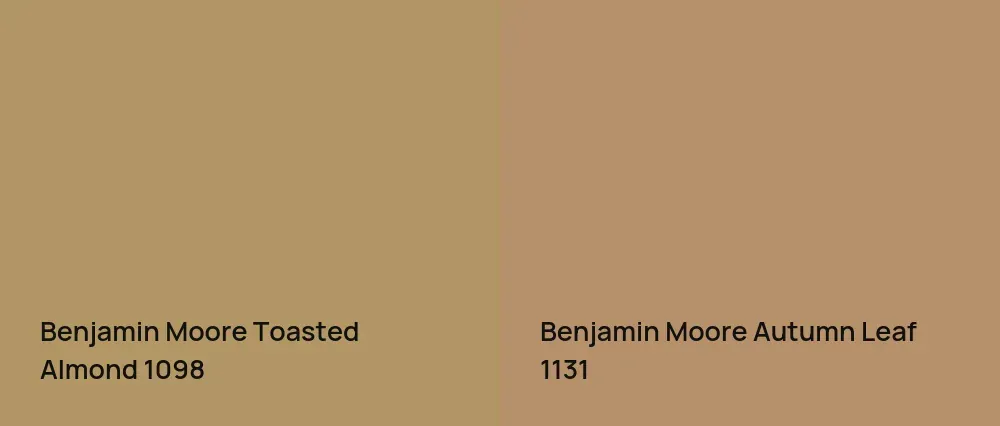 Benjamin Moore Toasted Almond 1098 vs Benjamin Moore Autumn Leaf 1131
