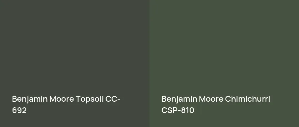 Benjamin Moore Topsoil CC-692 vs Benjamin Moore Chimichurri CSP-810