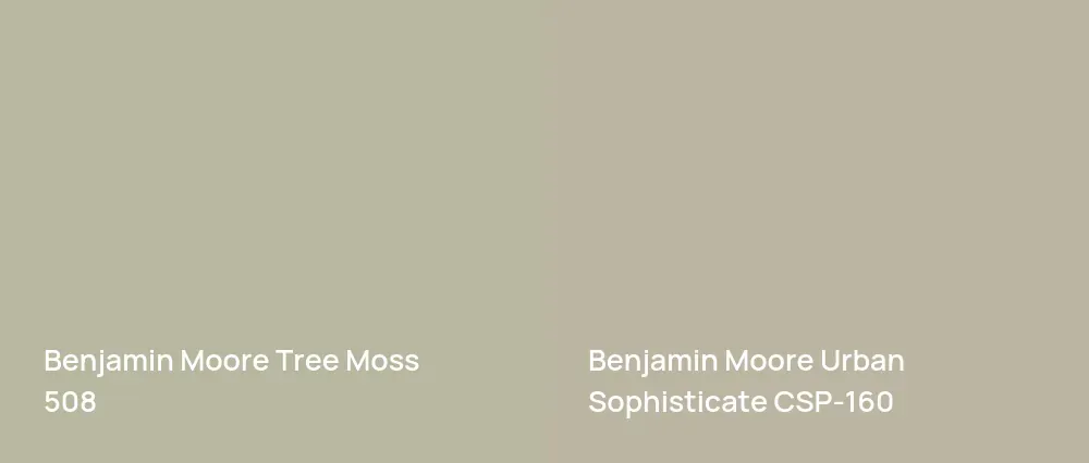 Benjamin Moore Tree Moss 508 vs Benjamin Moore Urban Sophisticate CSP-160
